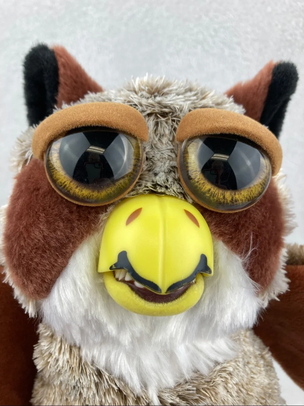 FEISTY PETS DASTARDLY DANIEL™️ THE GREAT HORNED OWL